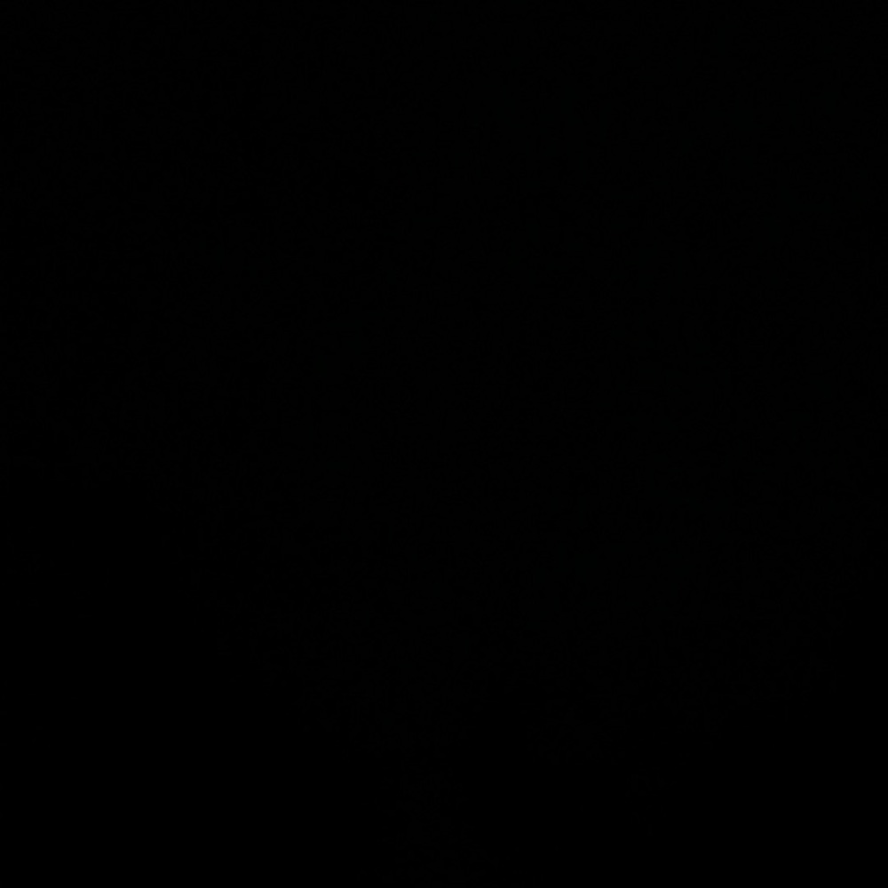 Meet your Posher, Nia